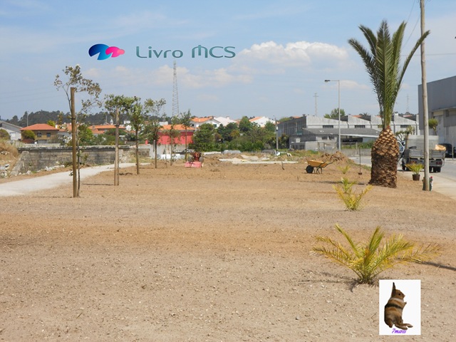 [Bolg%2520Gazeta%2520de%2520Espinho007%2520Livro%2520MCS%255B2%255D.jpg]