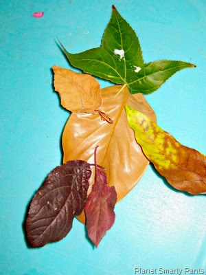 LeafMan LeafMan