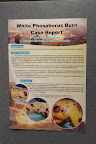 The Winning Poster, 2009