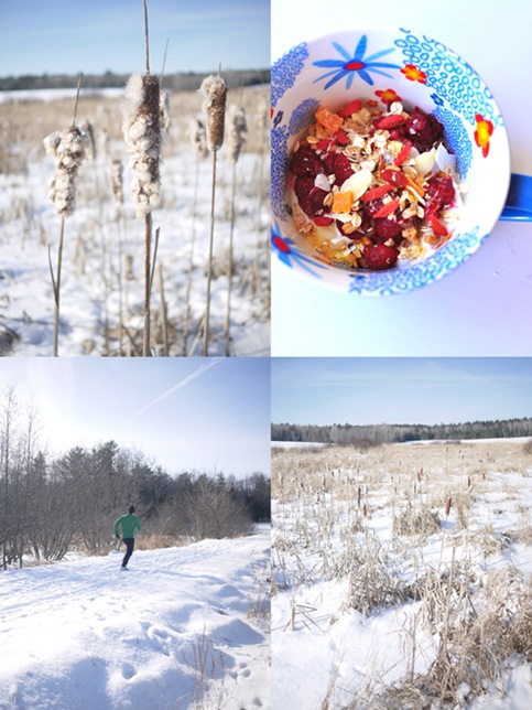 skiing2LR