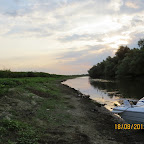 IMG_8201.JPG
