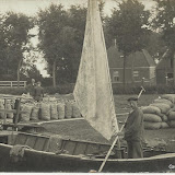 Coll. Tangeman Coll. Tangeman