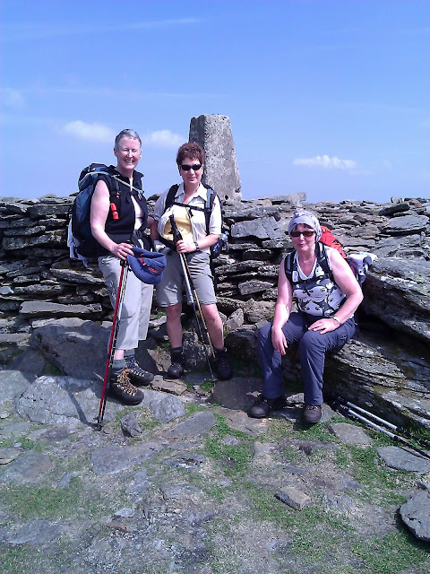 Celine Delaney on Lug.jpg