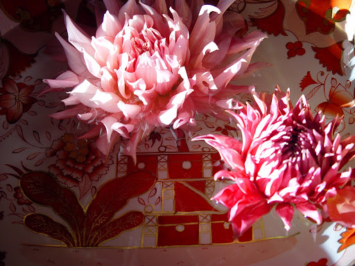 These dahlias are so beautiful they could have been painted!