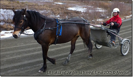 2013-mai01-lillfaksa_02 2013-mai01-lillfaksa_02