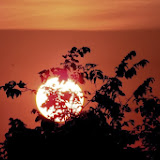 DSCF77809.jpg