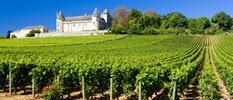 [Bourgogne-vinho-e-delicias%255B3%255D.jpg]