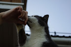 IMGP0166.JPG