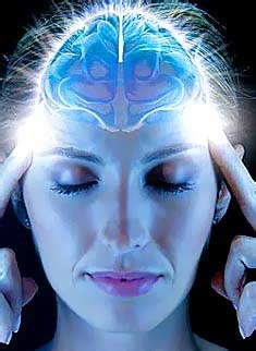 [cerebro%255B2%255D.jpg]