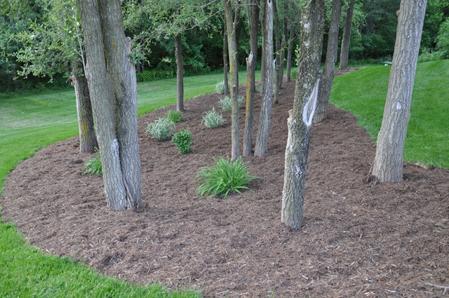 [012%255B3%255D.jpg]