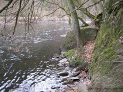 IMG_0047