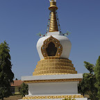 DSC_8050.jpg