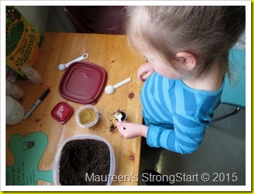 IMG_4265 IMG_4265
