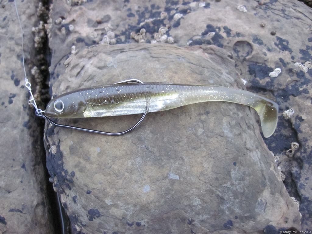 [IMG_1408%255B11%255D.jpg]