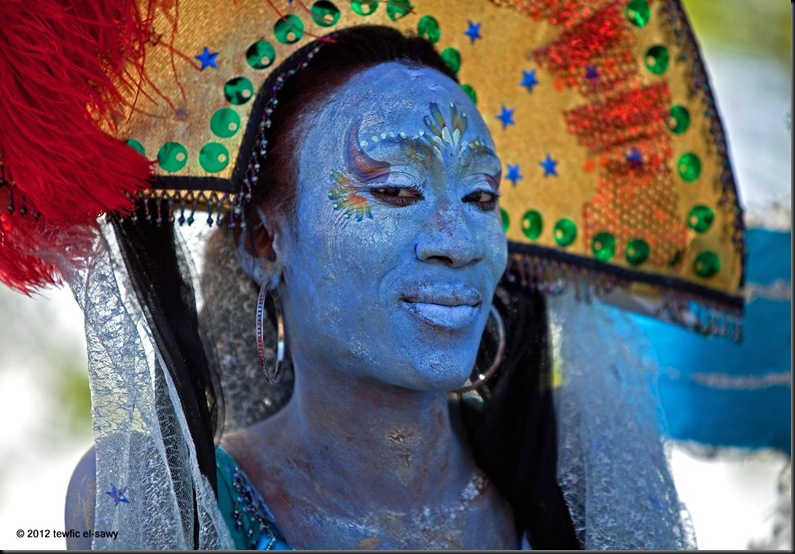 Avatar”. Hudson River Pageant, NYC. ©2012 Tewfic El-Sawy
