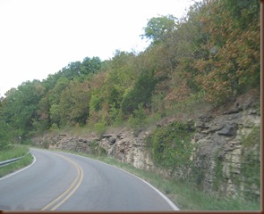 IMG_4819 IMG_4819