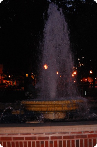 DSC_1296