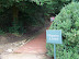 Mt. Vernon In August