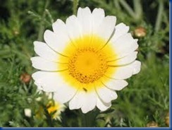 imagesCASJI8X5