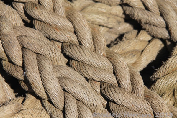 [44-rope%255B2%255D.jpg]
