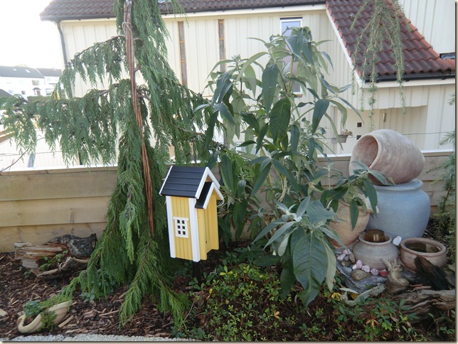 november 2 2011 005