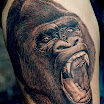 Gorilla Scream
