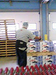 IMG0024A.jpg