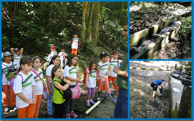 3&ordm; ano10