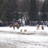 dsc06420.jpg