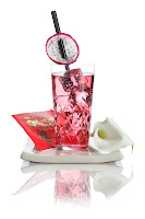 1- Jan - Dragon Sparkle - white.jpg