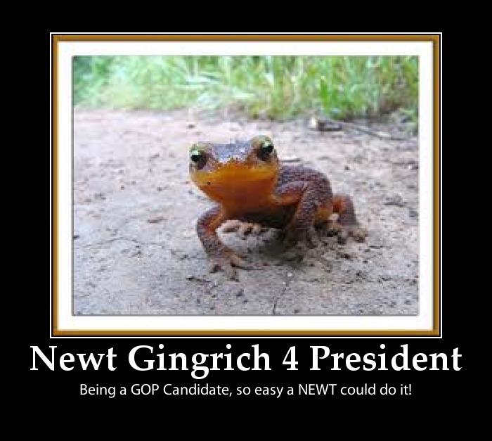 [newt-Gingrich-2012-President-funny-p%255B2%255D.jpg]