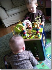 IMG_1868 IMG_1868