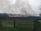 Another picture by the LandOwner