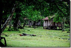 DSC_0045 DSC_0045