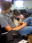 The airport was full of new exciting sounds and smells. The airport was full of new exciting sounds and smells.