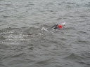 IMG_4441.JPG