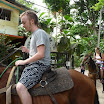 P1060183 (Copy) (Copy).JPG