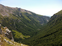 IMG_1549.JPG
