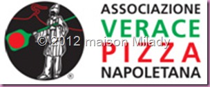 avpn logo avpn logo