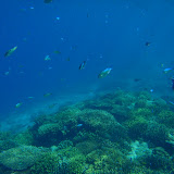 2012-05-07 Snorkeling in Gili Islands