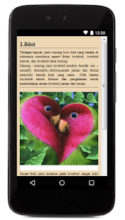 How to mod Ternak Burung LoveBird patch 1.0 apk for laptop