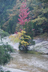 Hayes Canyon after rainfall