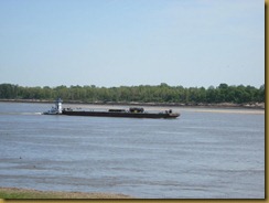 IMG_5832 (800x600) IMG_5832 (800x600)