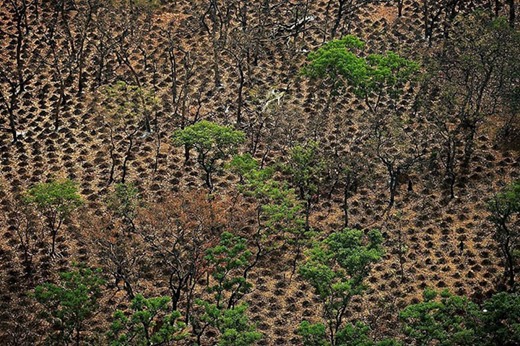 [clip_image013%5B4%5D.jpg]