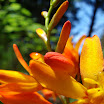 DSC03881.JPG
