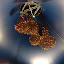 DSCF0884.JPG