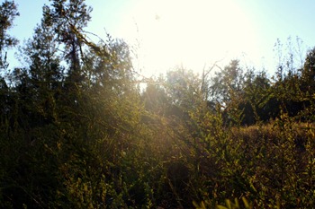 Pumpkin Spice Lattes, Friends, and Walking Trails 093