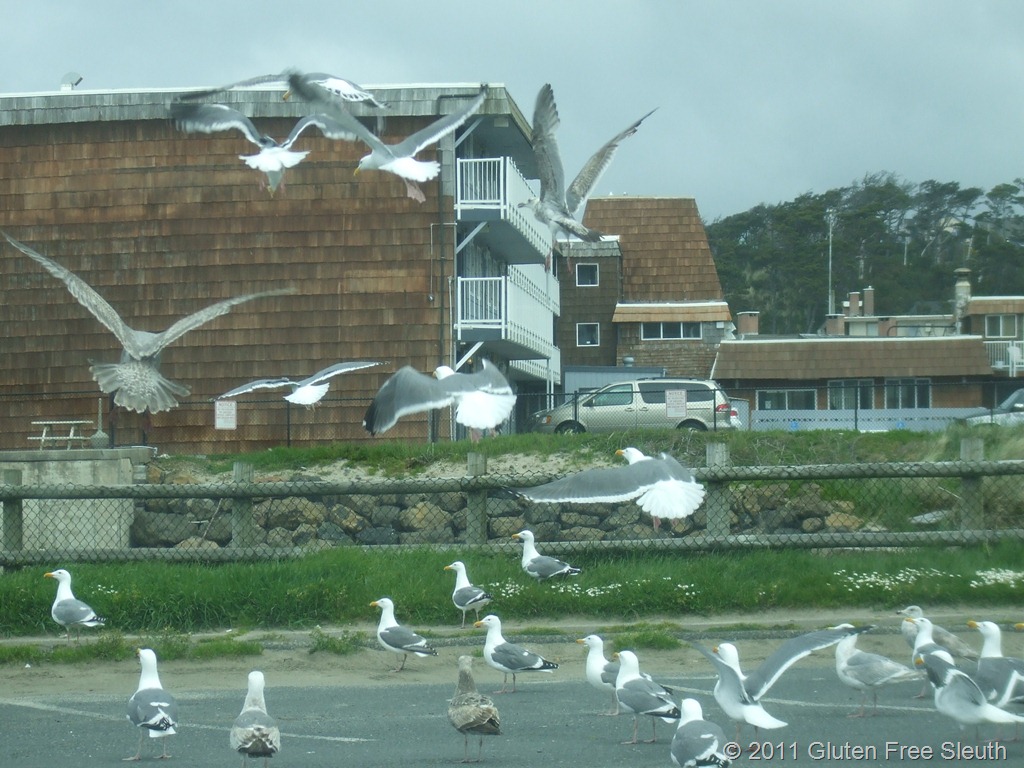[The%2520Birds%255B9%255D.jpg]