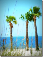 Almost Paradise