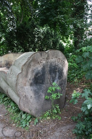 hergebruik boom hergebruik boom